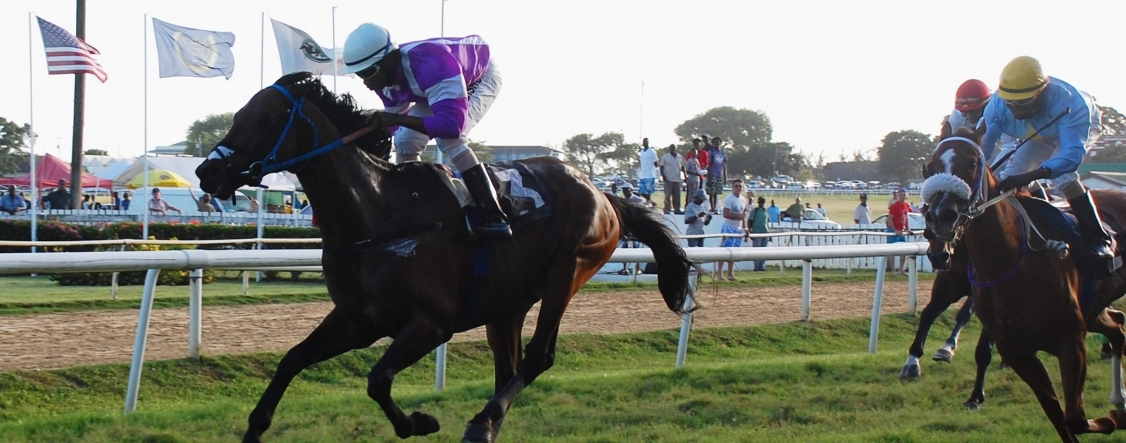 2014 Sandy Lane Gold Cup