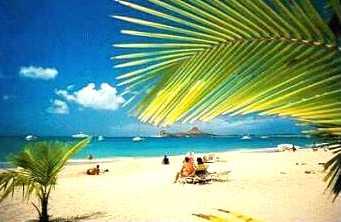 St Lawrence Gap Vacation Rentals on The South Coast