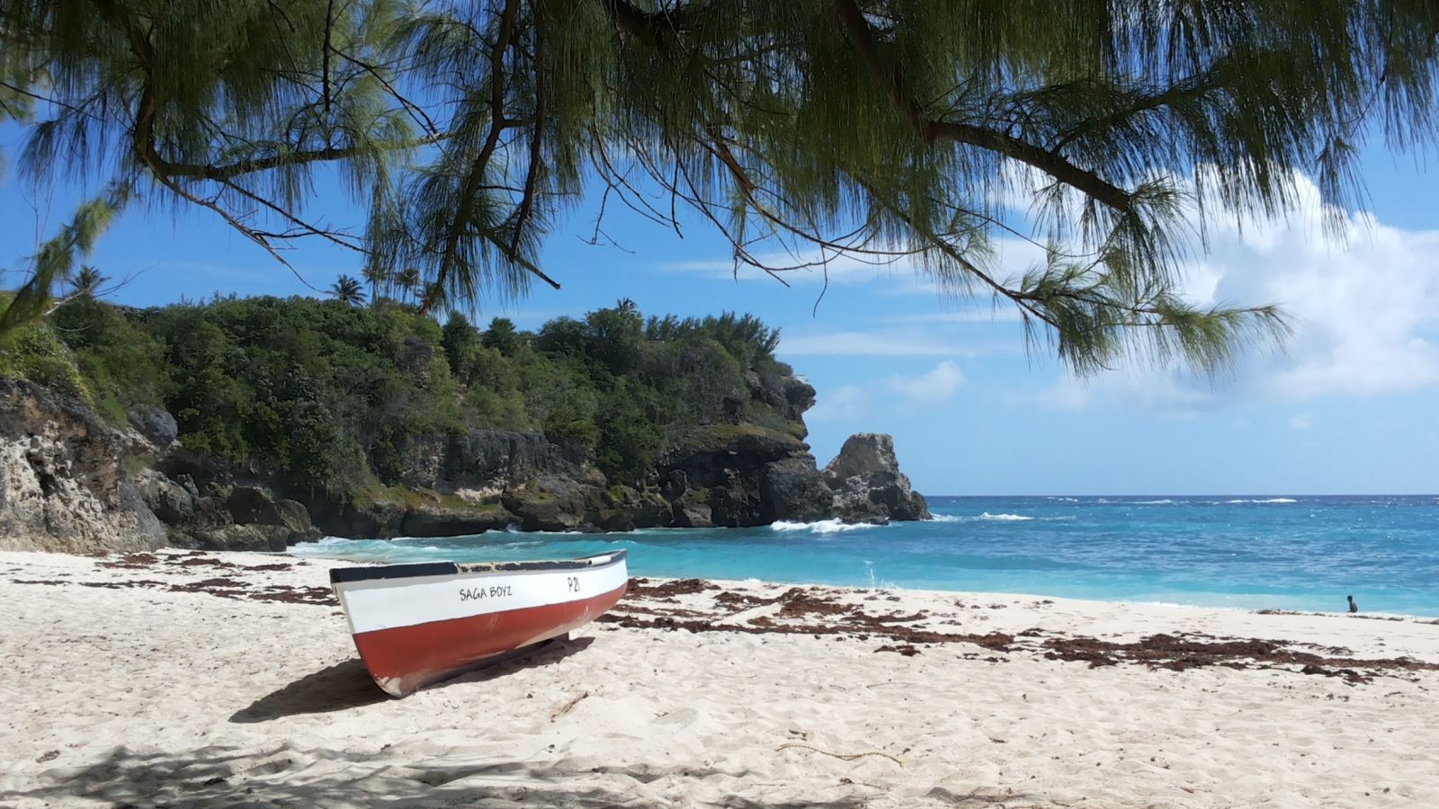 Ocean City Condos (Apt 1)